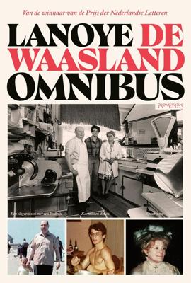 De Waasland Omnibus - Tom Lanoye - ebook