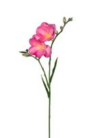 Freesiasteel l68 cm roze kunstbloem zijde nepbloem - Louis maes