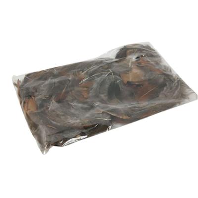 HBX Natural Living Decoratie veren fazant