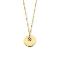 14K Geelgouden Graveercollier Februari Zirkonia Geboortesteen 45-49cm