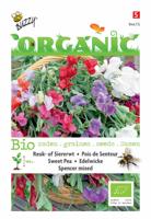 Organic Lathyrus Spencer gemengd (Skal 14725) - Buzzy