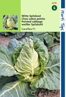 Zaden Wittekool Caraflex F1 Hortitops - Hortitops
