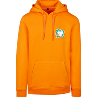 FC Eleven - Ivoorkust Drogba Hoodie - Oranje