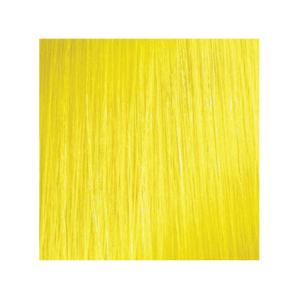 L'Oréal Professional ColorfulHair