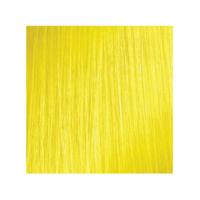 L'Oréal Professional ColorfulHair