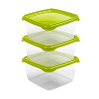 Vershoudbakjes Hega - set van 3x stuks - 1.3 liter - transparant/groen - L16 x B16 x H11 cm