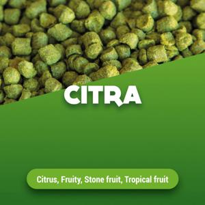 Hopkorrels Citra 100 g