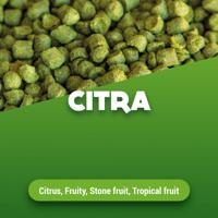 Hopkorrels Citra 100 g - thumbnail