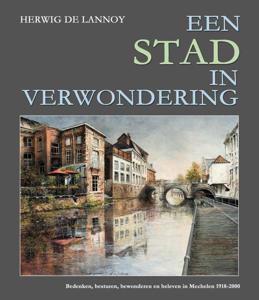 Een stad in verwondering (Hardback)