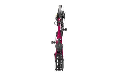 Tern elektrische compactfiets "hsd p10" (#1) ebike hsd p10 10sp drogonfruit