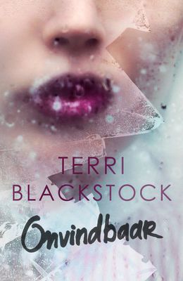 Onvindbaar - Terri Blackstock - ebook