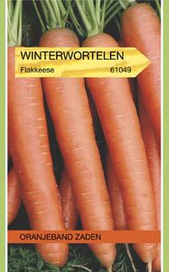 Winterwortel