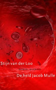 De held Jacob Mulle - Stijn van der Loo - ebook