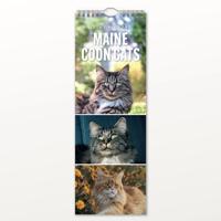 Maine Coon Slimline Kalender 2026