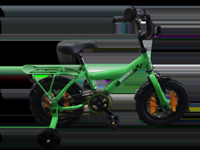 Bikefun Kinderfiets boost 12 inch - met zijwieltjes en remnaaf - groen