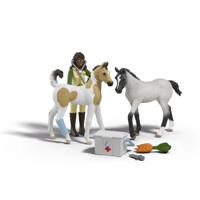 Schleich Horse Club Sarah's EHBO Set