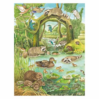 Deltas Kijk- en zoekboek - bij het water