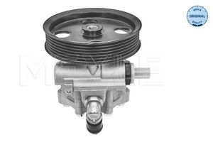 Servo pomp 15146310001
