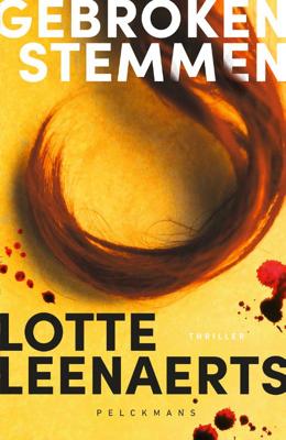 Gebroken stemmen (Paperback)
