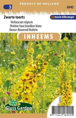 Inheemse Verbascum nigrum Zwarte Toorts zaden