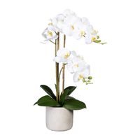 Kopu® Kunstbloem Orchidee 60 cm Wit met cement Sierpot - Phalenopsis - thumbnail