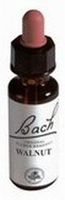 Alive BA33 Walnut (50 ml)