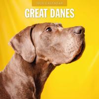 Duitse Dog Kalender 2026