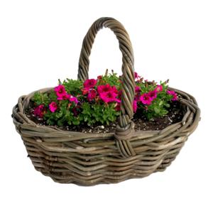 Plantenmand met hengsel - bruin - 36 x 28 x 14 cm - rotan - gevlochten riet - plantenpot/bloempot
