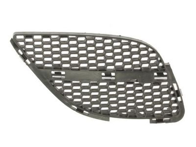 Radiateurgrille 5513001632914P