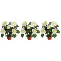 3x Kunstplanten hortensia plant wit/groen 36 cm - thumbnail