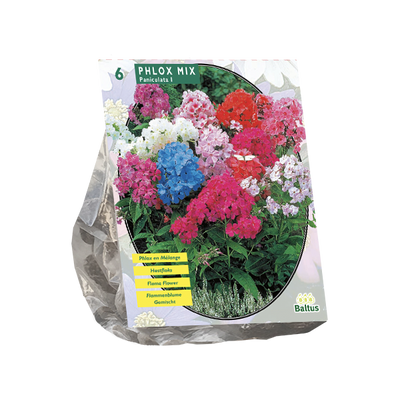 Vlambloem