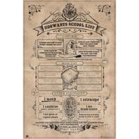 Poster Harry Potter - Hogwarts School List 61x91,5cm