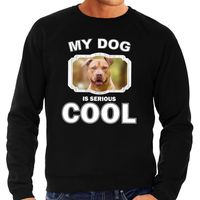 Staffordshire bull terrier honden sweater / trui my dog is serious cool zwart voor heren - thumbnail