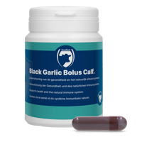 Black Garlic Bolus Calf - thumbnail