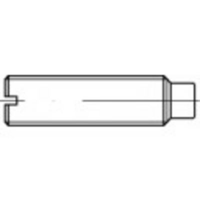 TOOLCRAFT 106482 Stifttap M12 40 mm Staal 50 stuk(s)