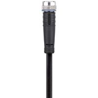 Escha 8043760 Sensor/actuator connector, geassembleerd M8 Aantal polen (sensoren): 4 Bus, recht 2.00 m 1 stuk(s) - thumbnail