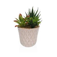 Decoratieve plant Versa Keramisch Plastic Fusion Vetplant 7,8 X 14 X 7,8 CM