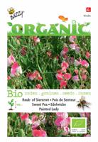 Organic Lathyrus odoratus Painted Lady (Skal 14725) Tuinplus - Buzzy