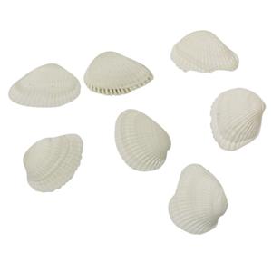 Rayher hobby decoratie schelpen/schelpjes - parelmoer/wit - afmeting 2 cm - 250 gram netje