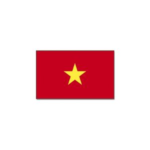 Vlag Vietnam 90 x 150 cm feestartikelen