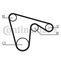 Getande riem CONTINENTAL CTAM, u.a. für Alfa Romeo, Lancia, Fiat