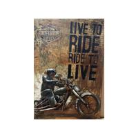3D schilderij Gave Special Motor Ride to Live 902 3D schilderij Gave Special Motor Ride to Live 902