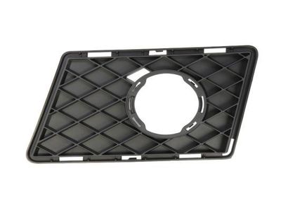 Ventilatiegrille, bumper 6502073580915P