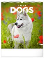 Honden Kalender 2026