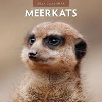 Stokstaartjes Kalender 2027