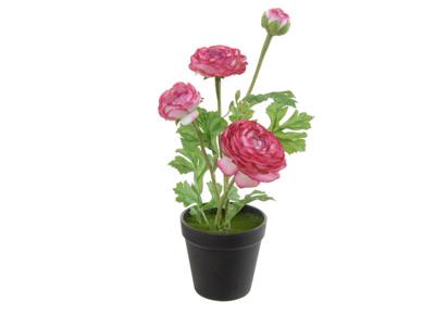 Ranonkel h35 cm p cerise zijde nepbloem - Louis maes