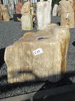 Versteend hout C23