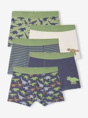 Set van 5 boxershorts voor jongens met dinosaurussen leiblauw