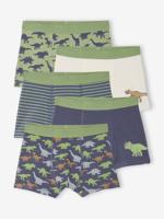 Set van 5 boxershorts voor jongens met dinosaurussen leiblauw