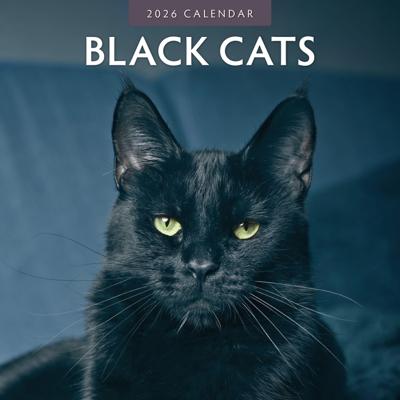 Zwarte Katten Kalender 2026
